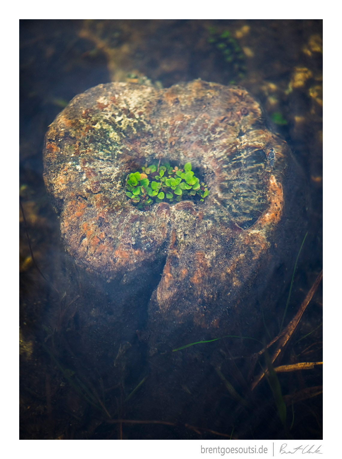 Life, Uh, Finds A Way