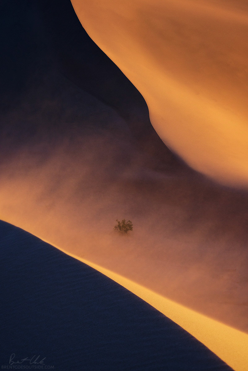Trials into Triumph