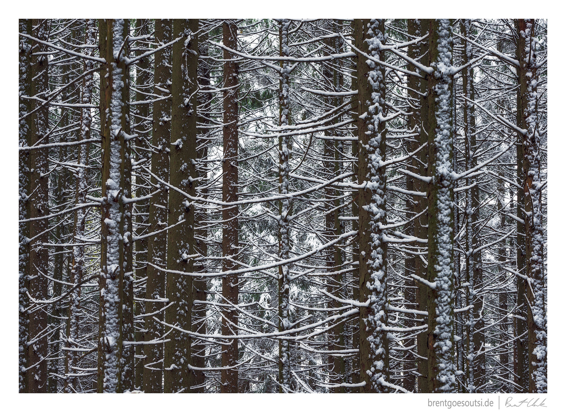 Merged Branches