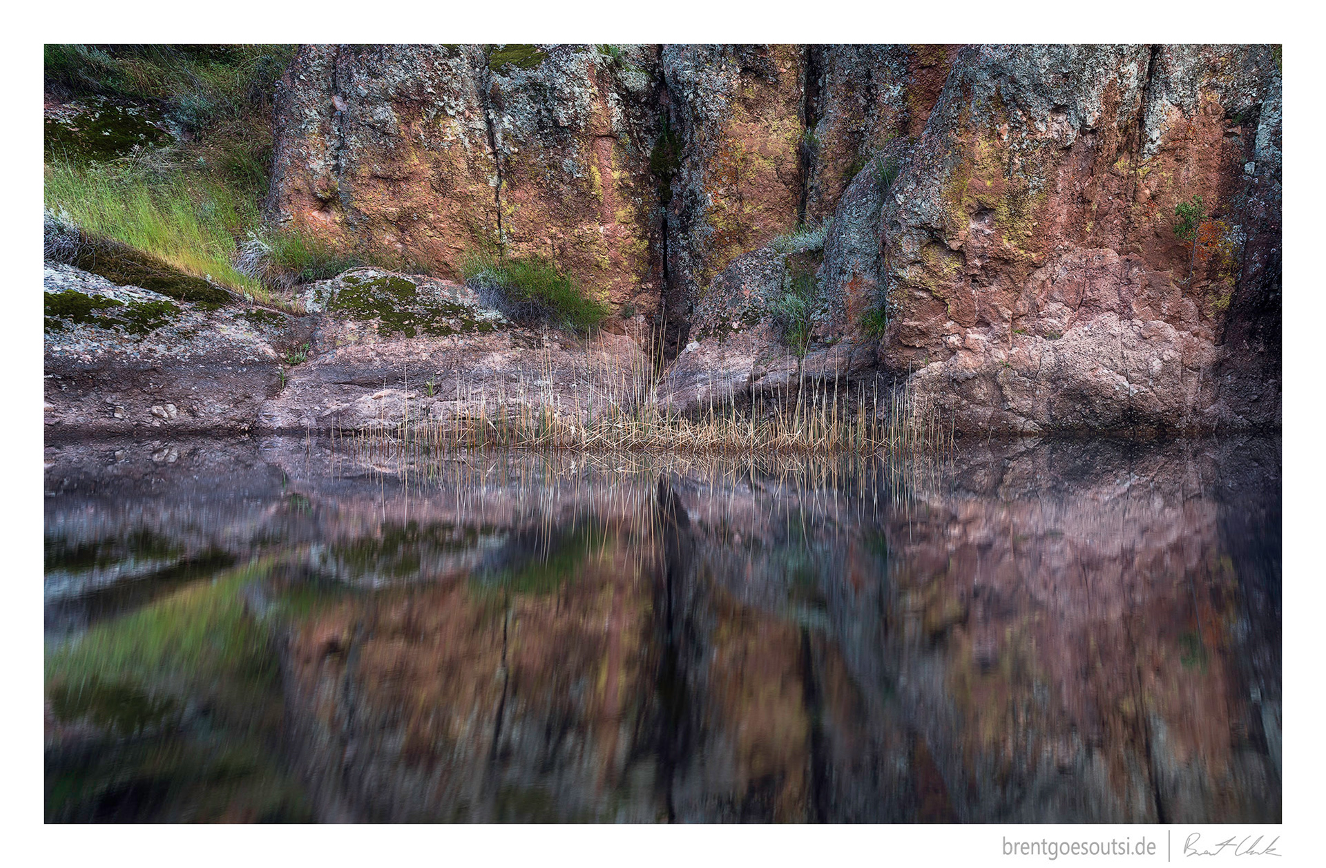 Trippin' Through Nature