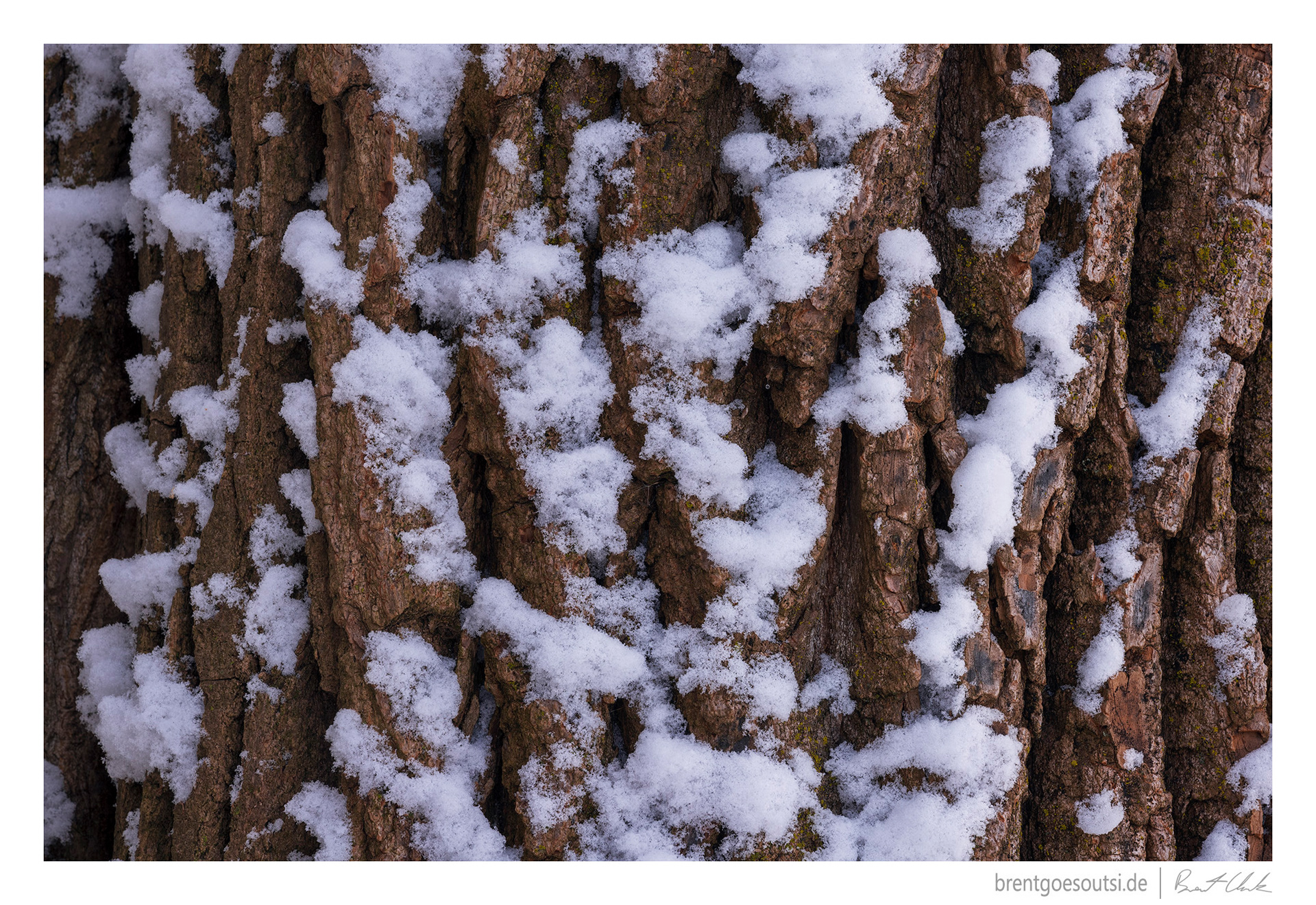 Another Winter Weathered