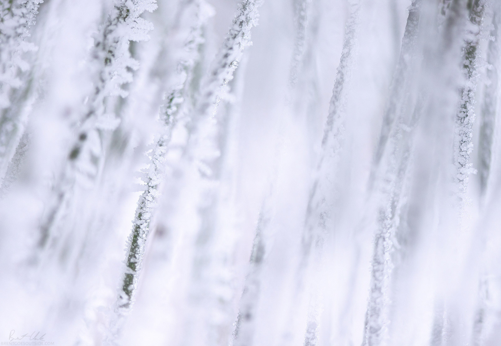 Needle Macro 2
