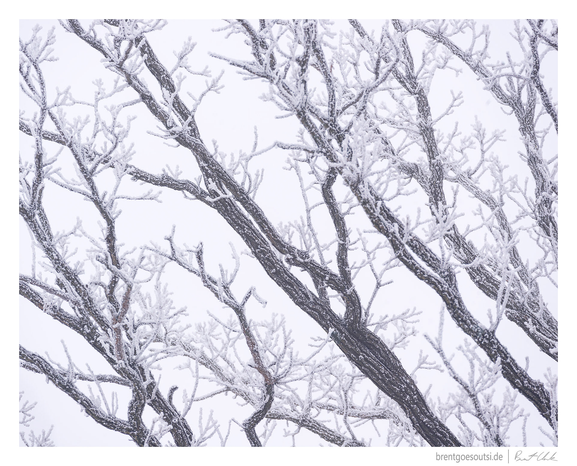 Extremities