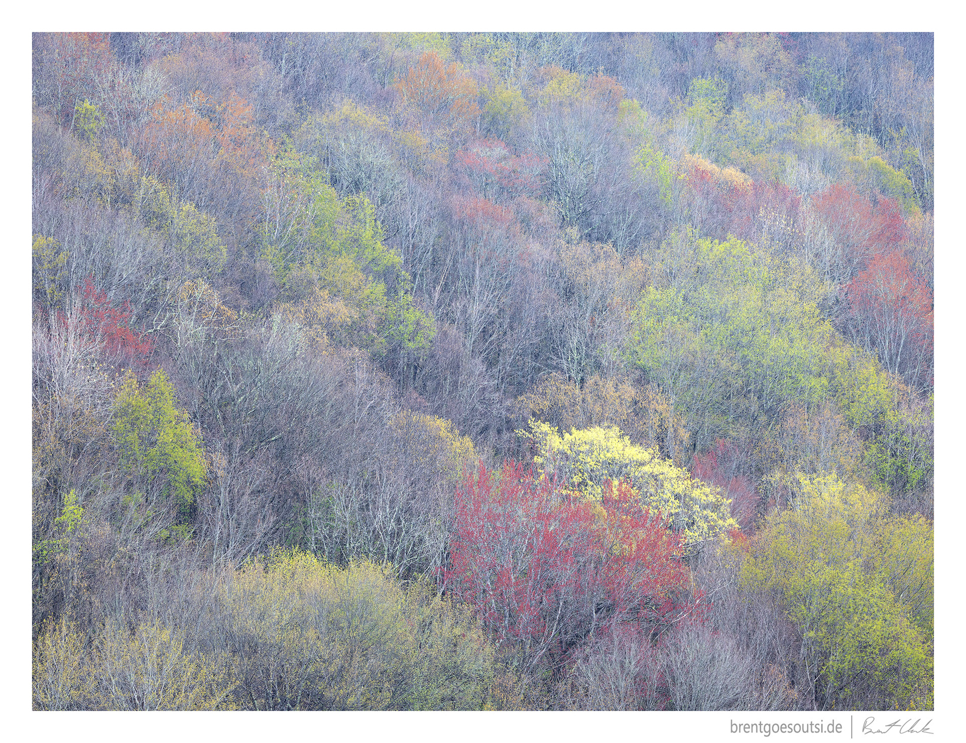 Spring is the New Fall