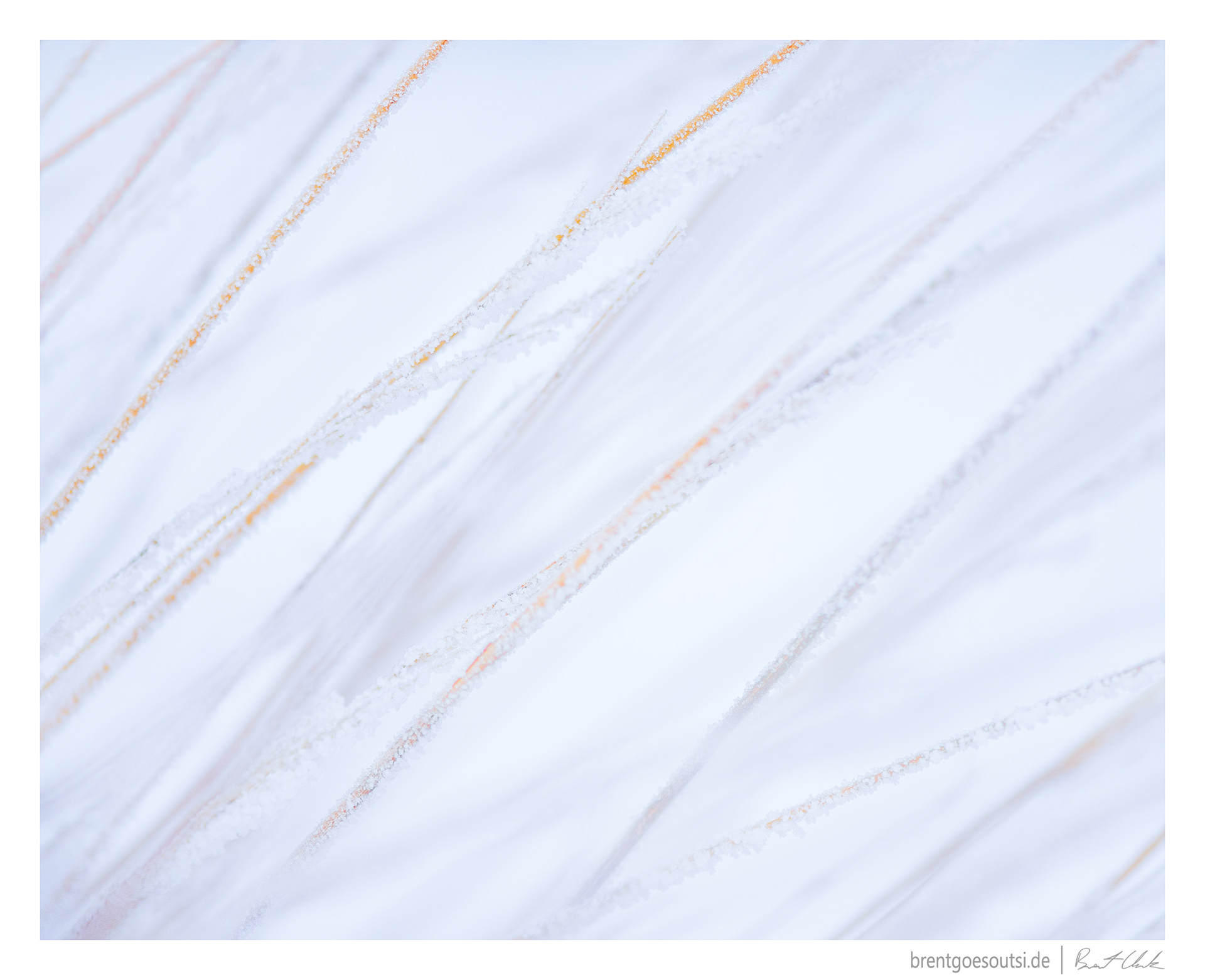 Frost Lines