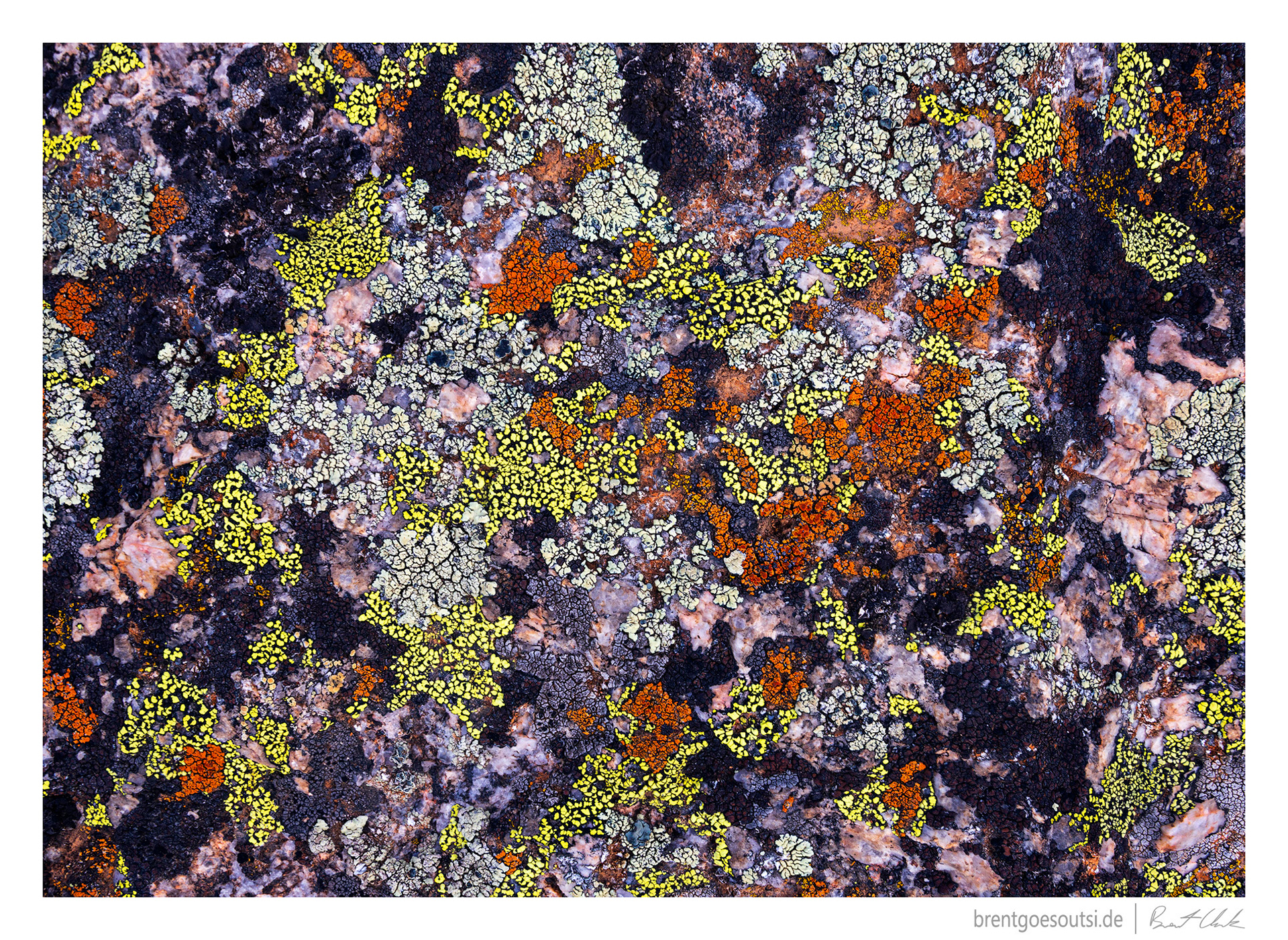 Splatter Paint
