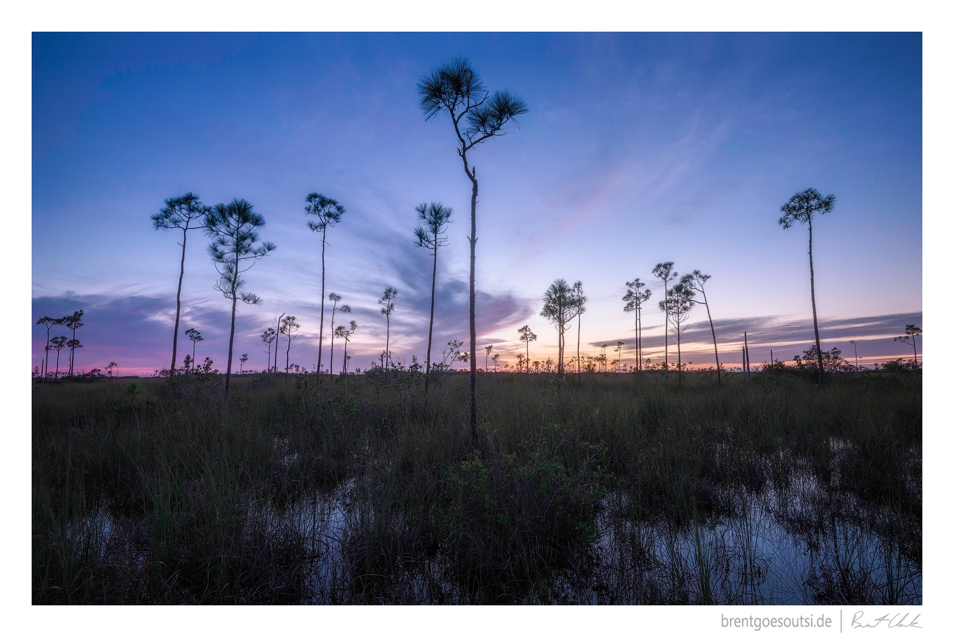Everglades Twilight