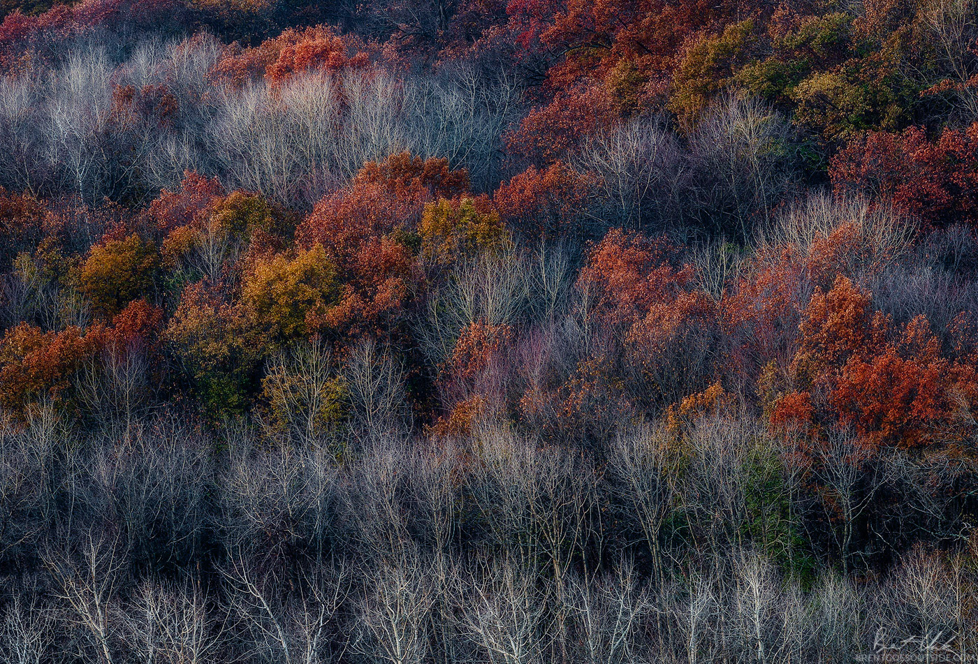 November Pretty