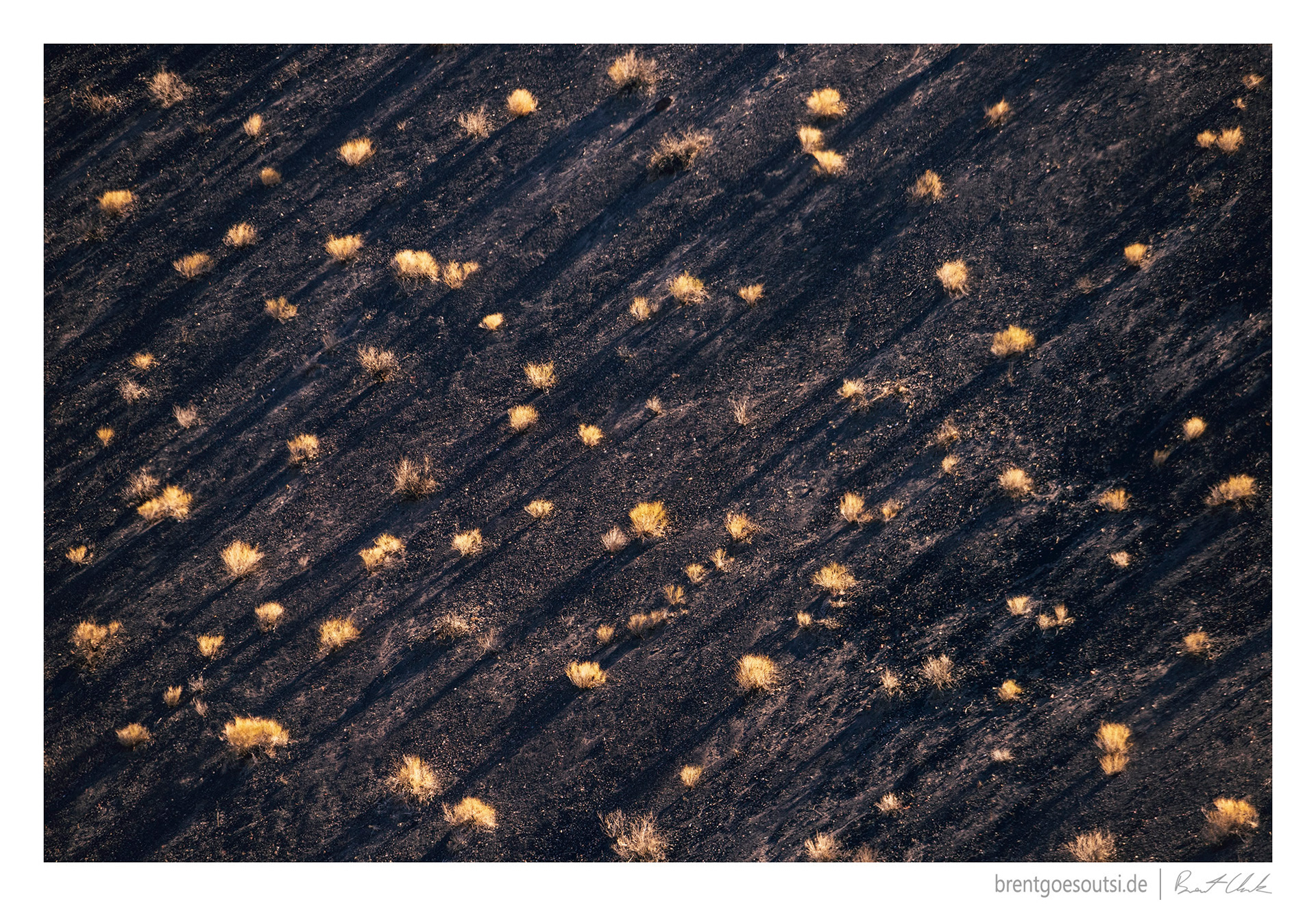 Harsh Light; Long Shadows