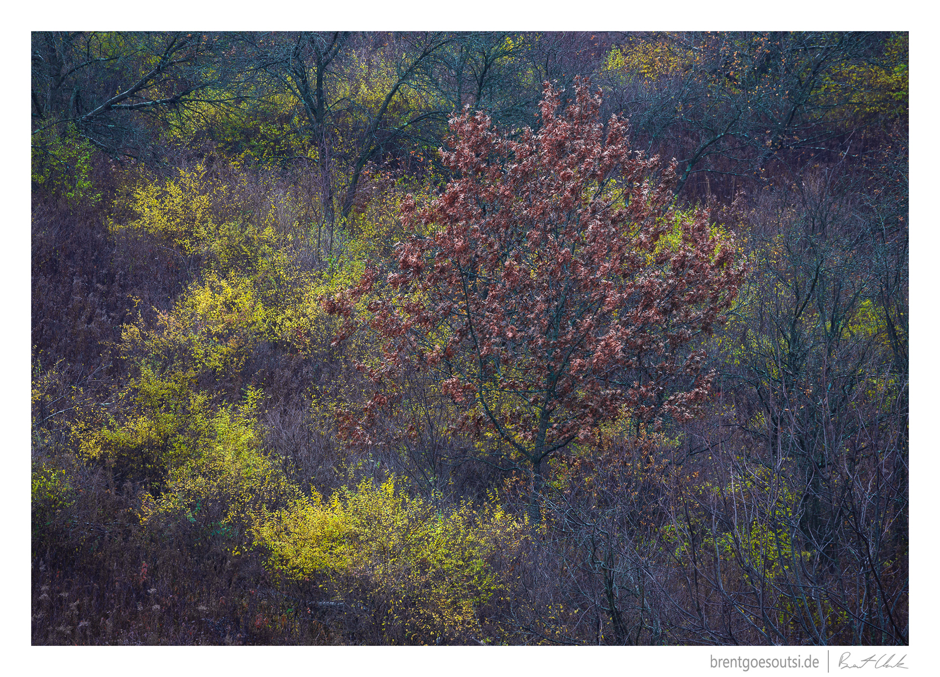 Conditions for Color