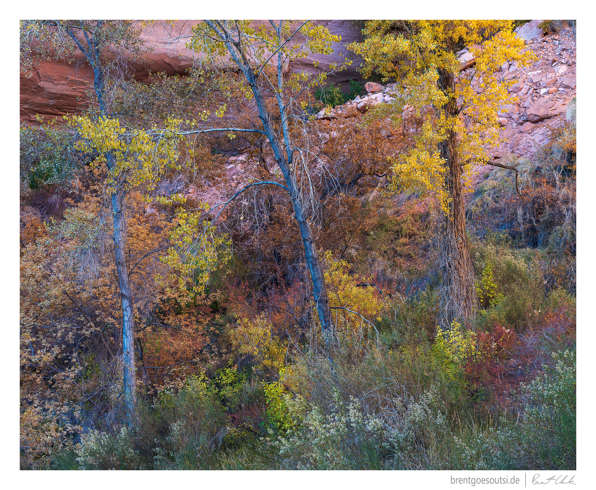 Canyon Colors