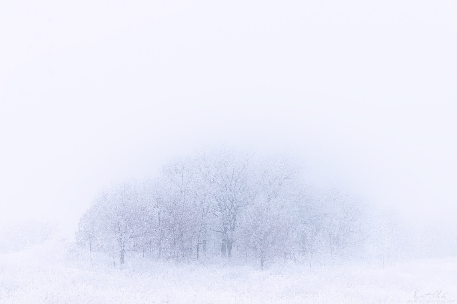 Blinding White