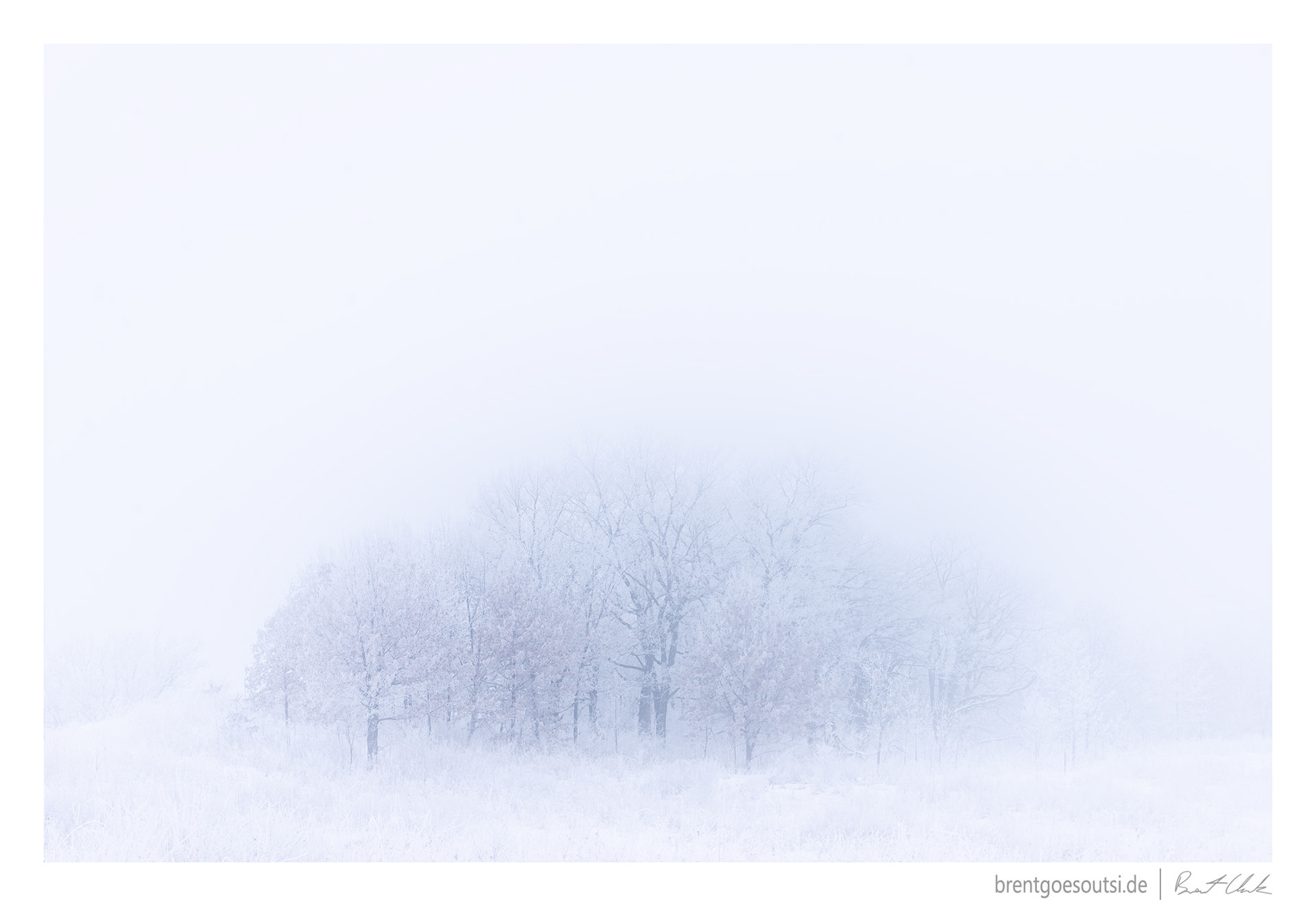 Blinding White