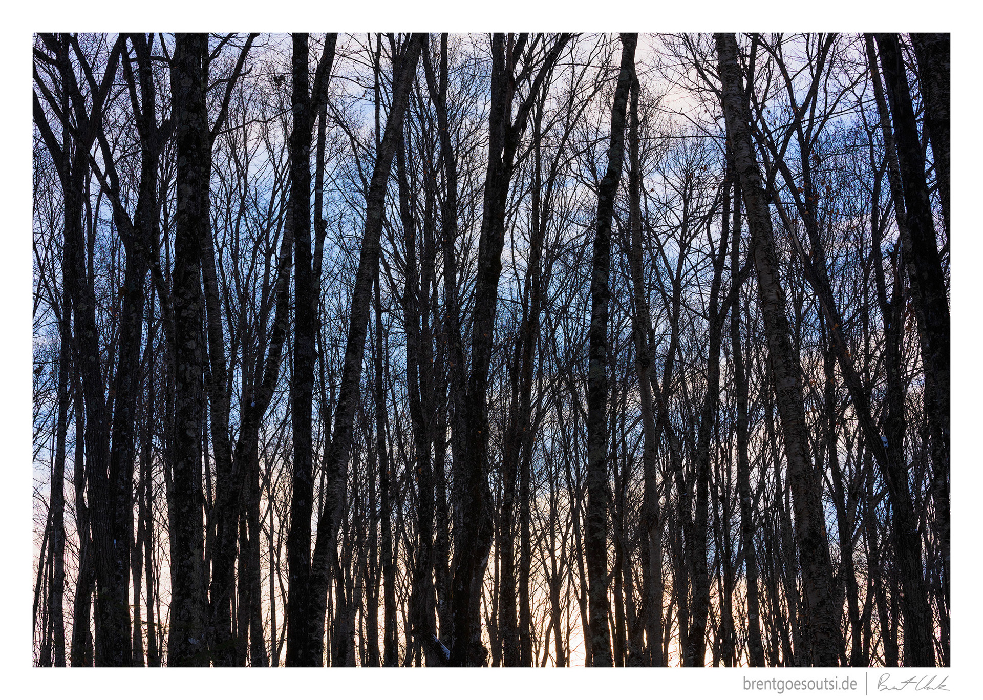 Laid Bare