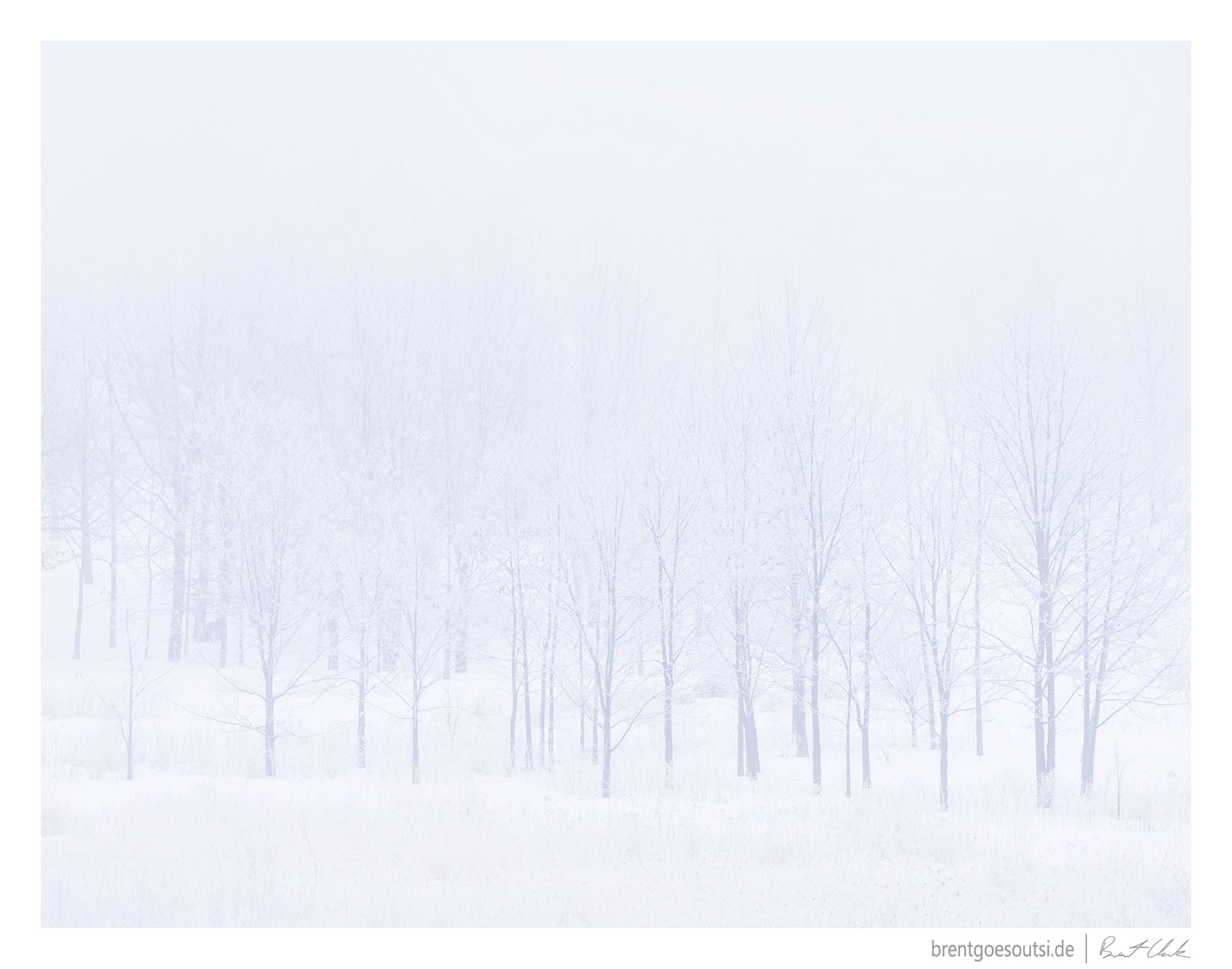 Frozen Fog