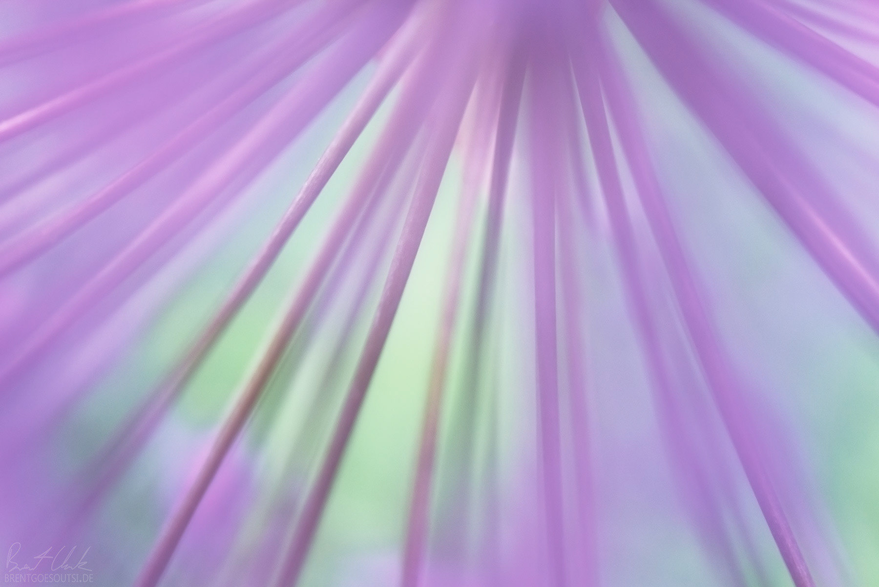 Softening