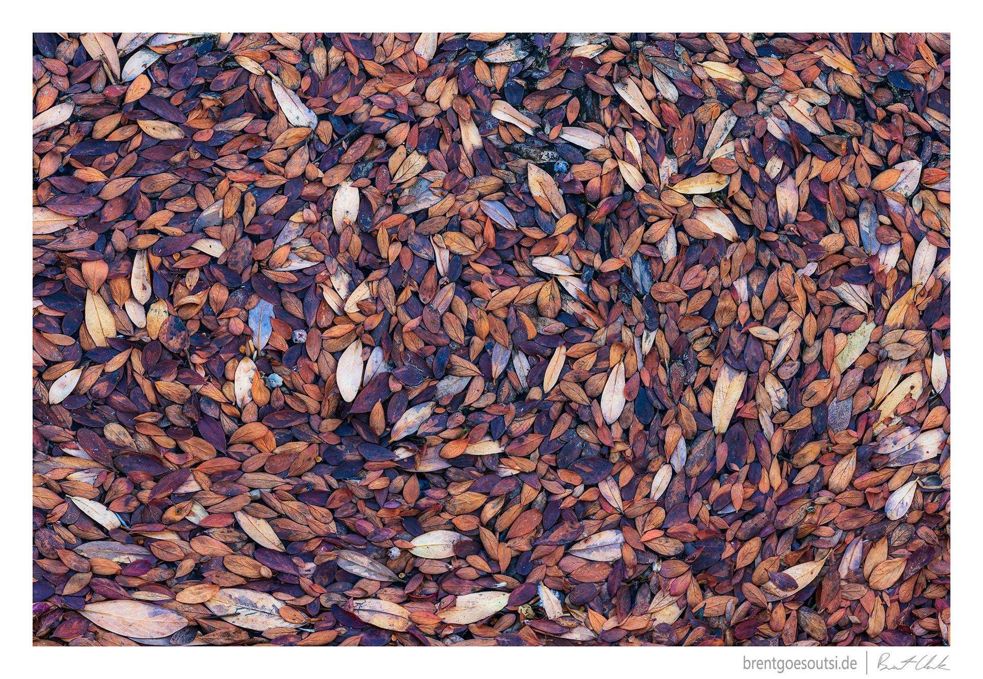 Little Mosaic