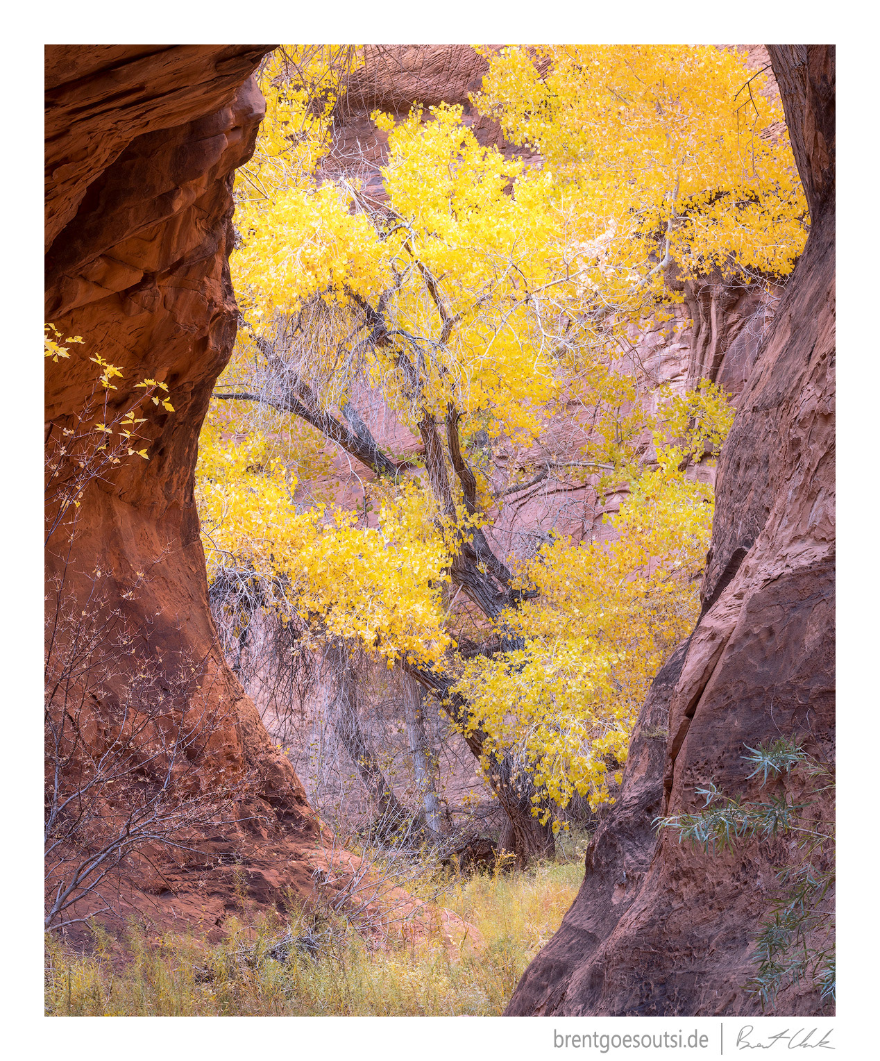 These Canyon Walls