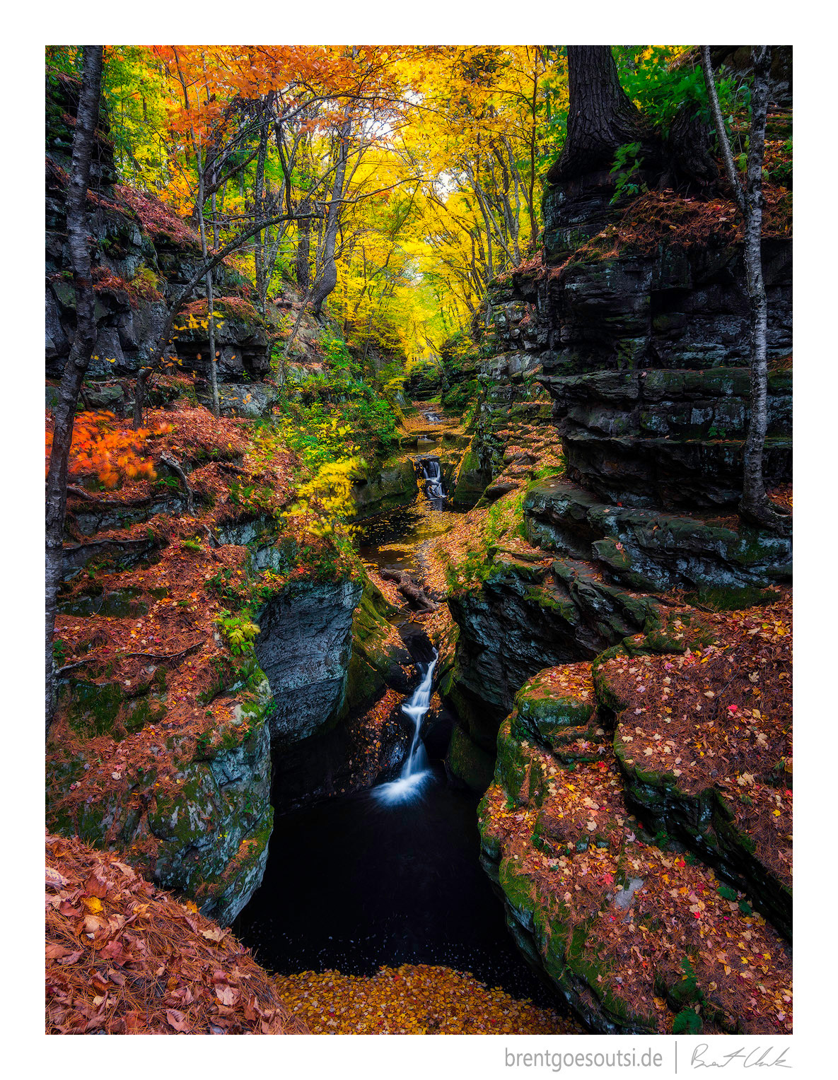 Pewit's Nest Autumn