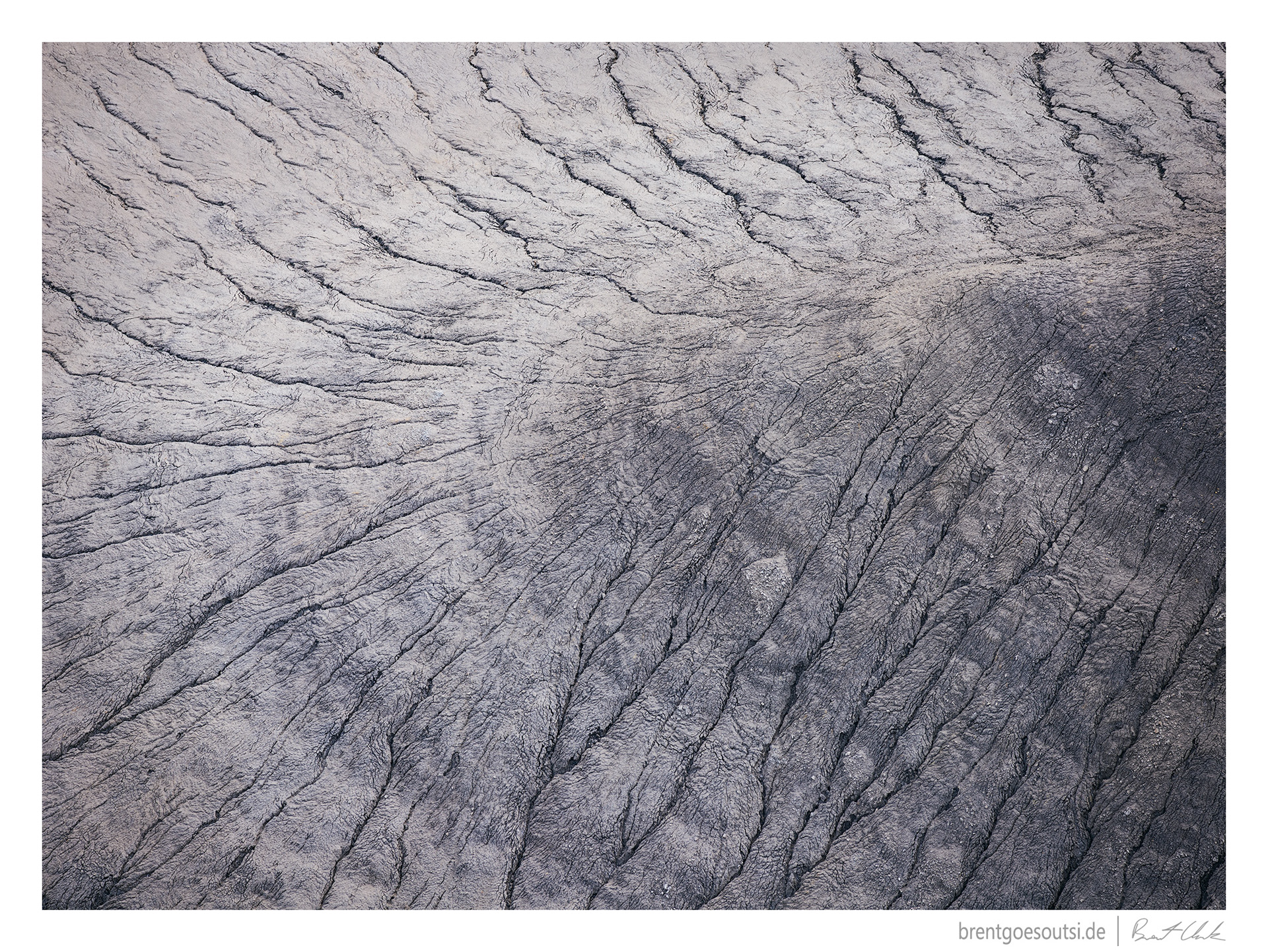 Elephant Skin