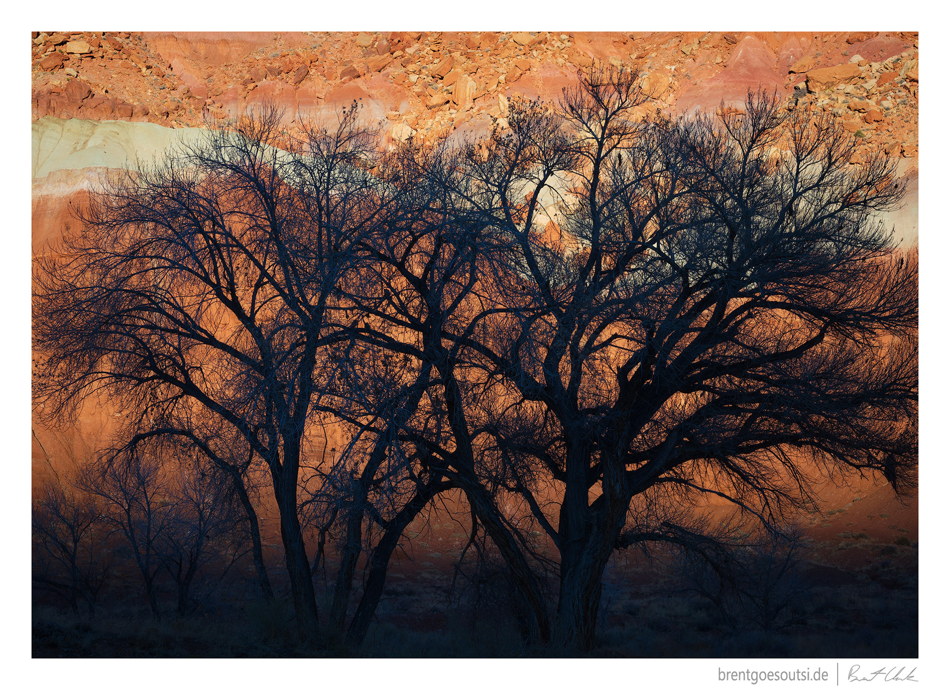 Losing the Light