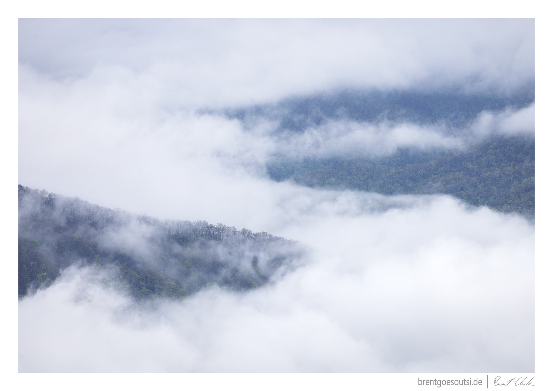 Illusion of Separation