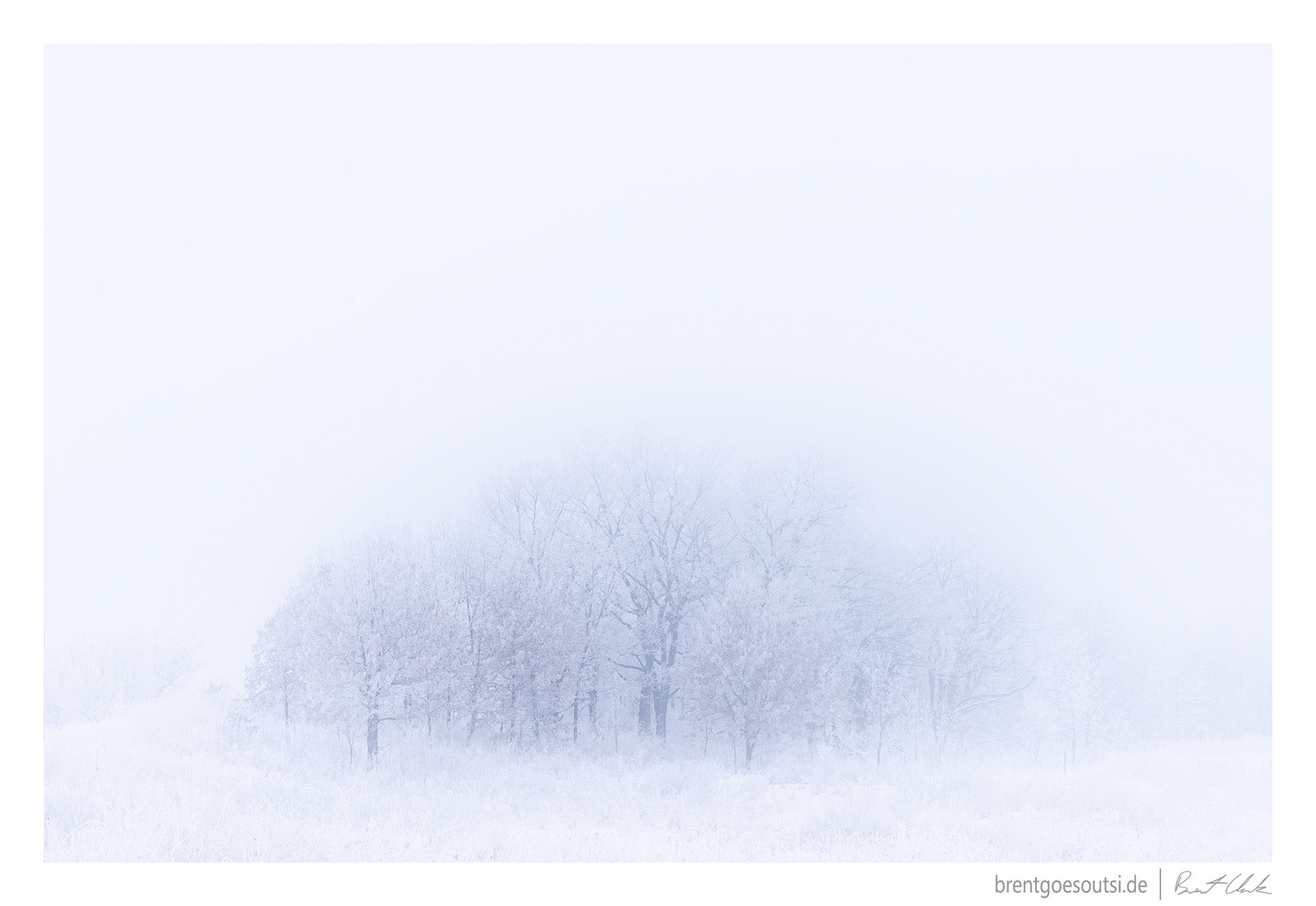 Blinding White
