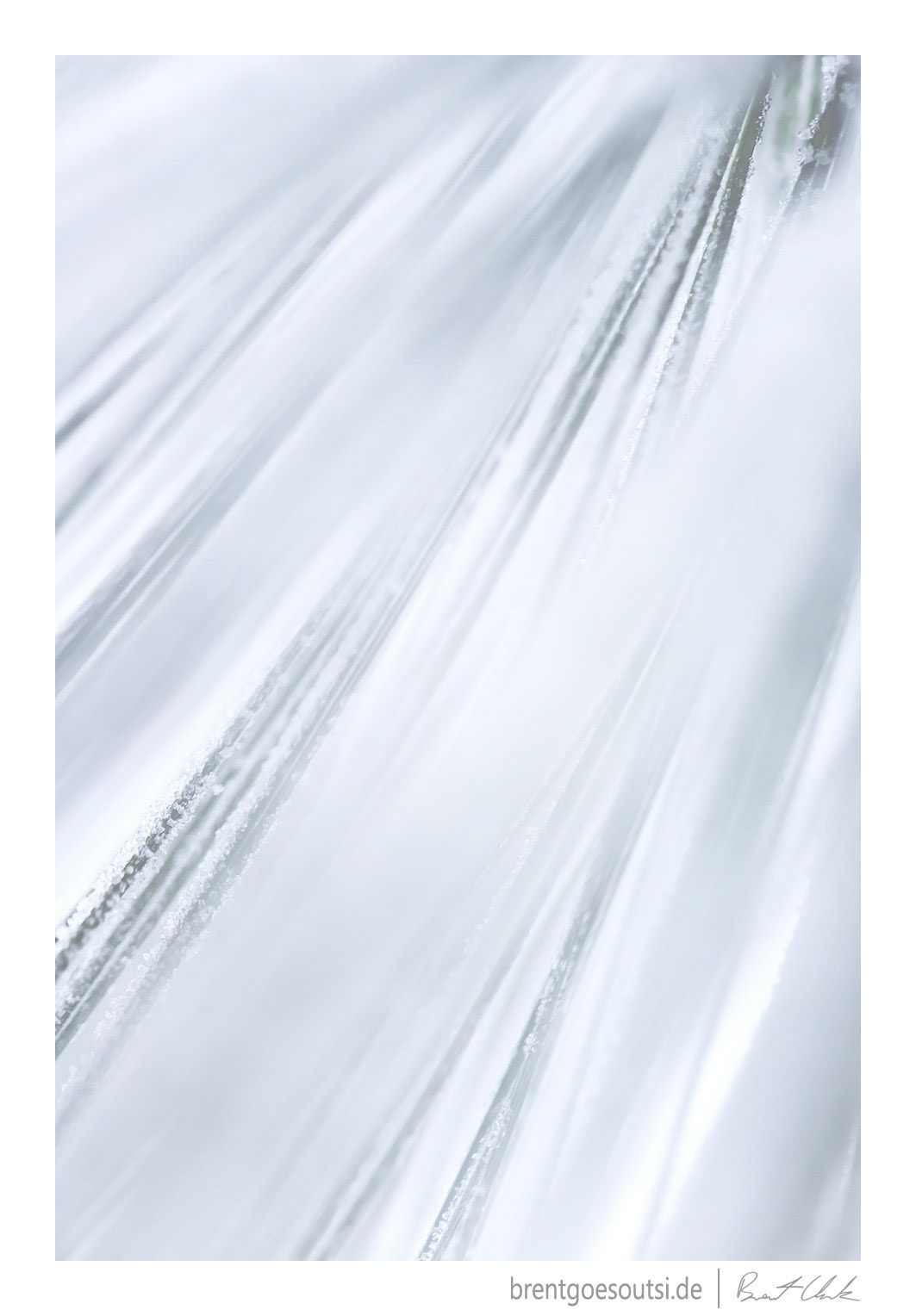 Peppermint
