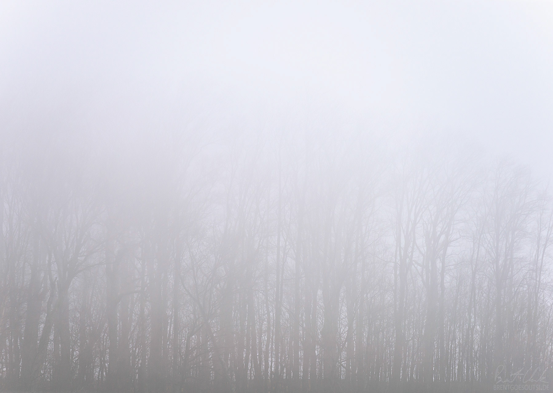 Bright and Dreary