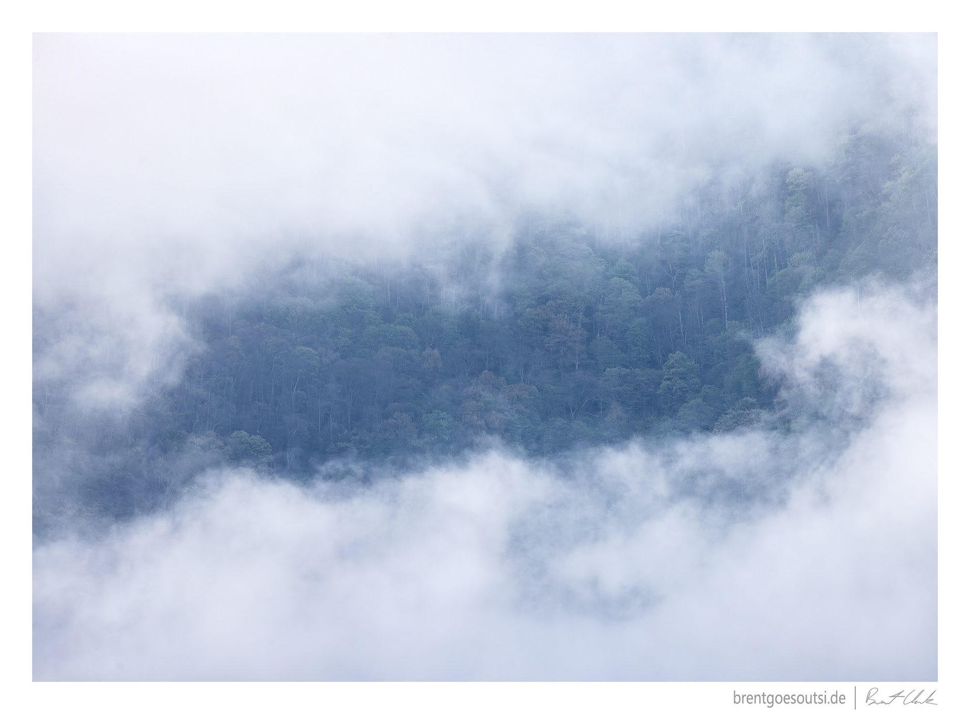 Window of Opportunity