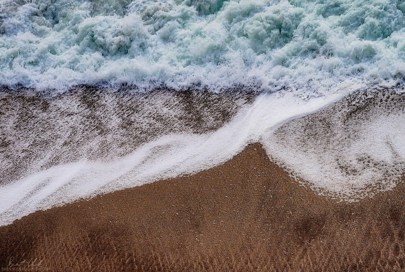 Sea What I Sea