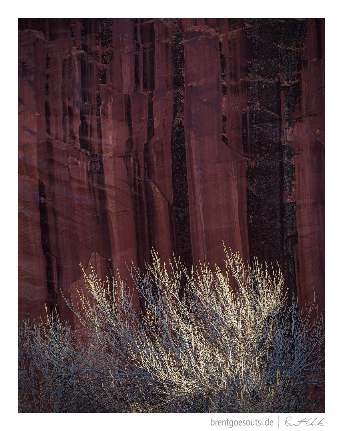 Canyon Standard