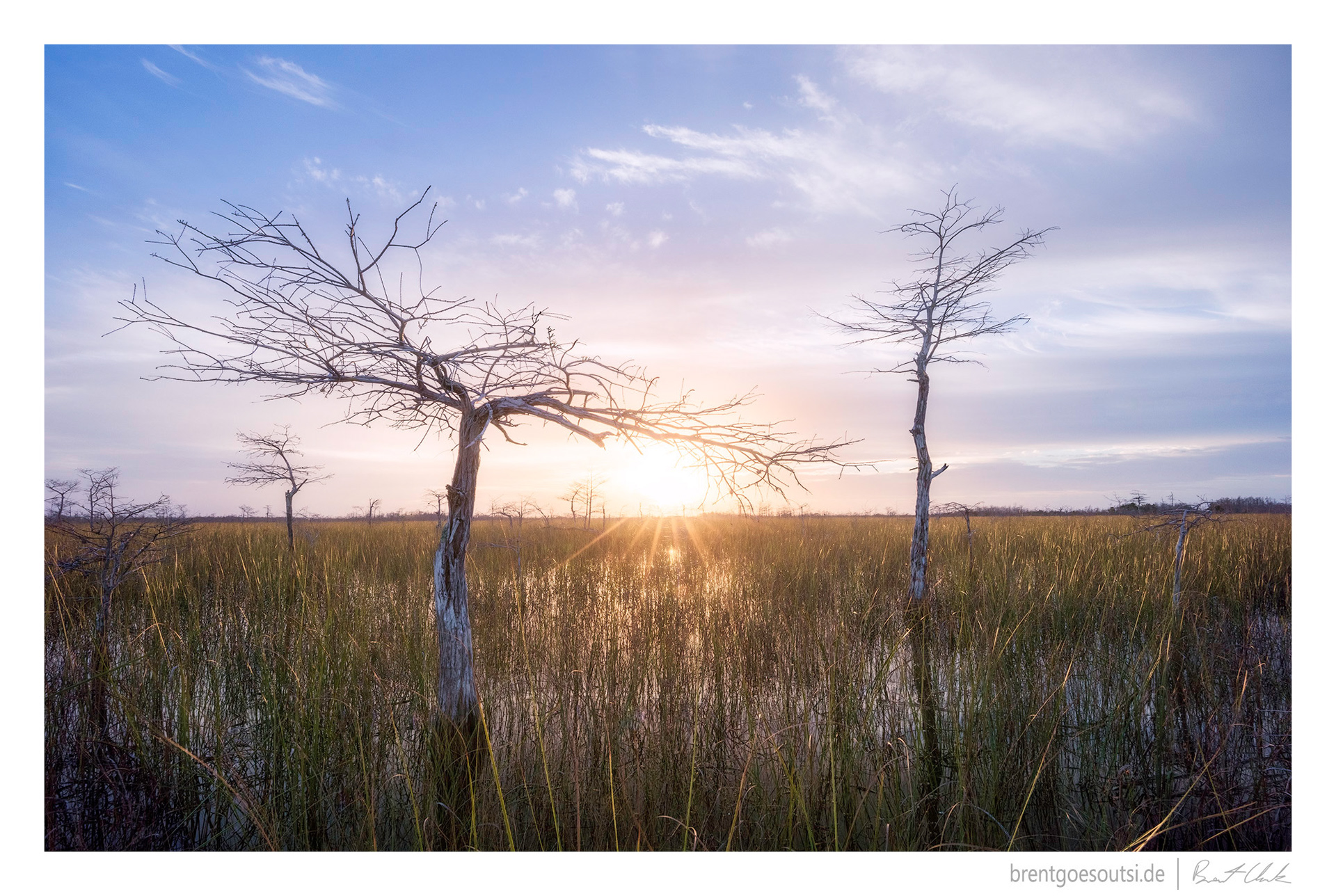 Everglades Sunrise