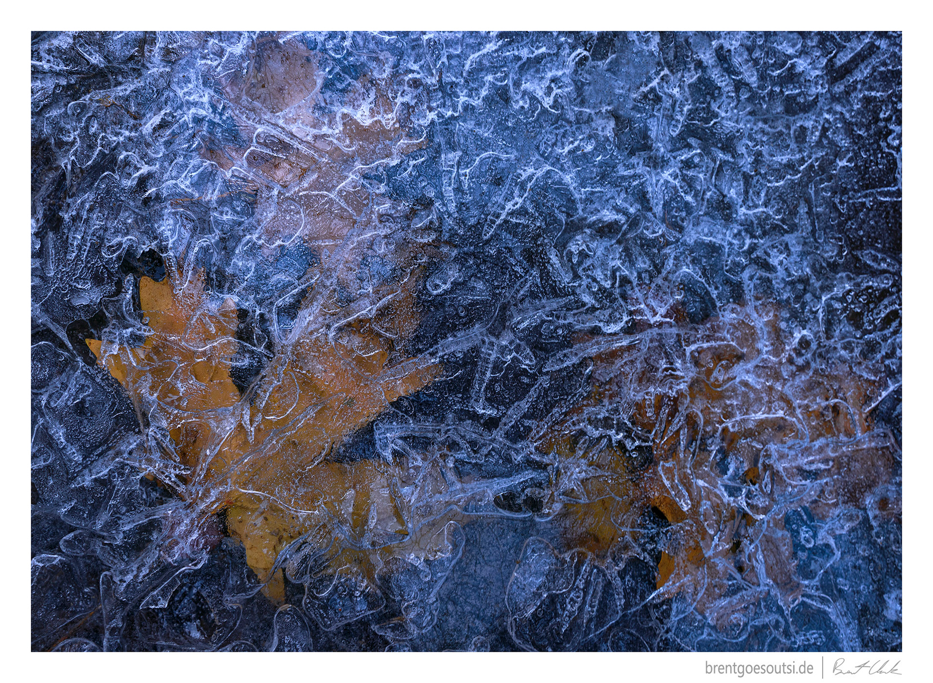 Encased