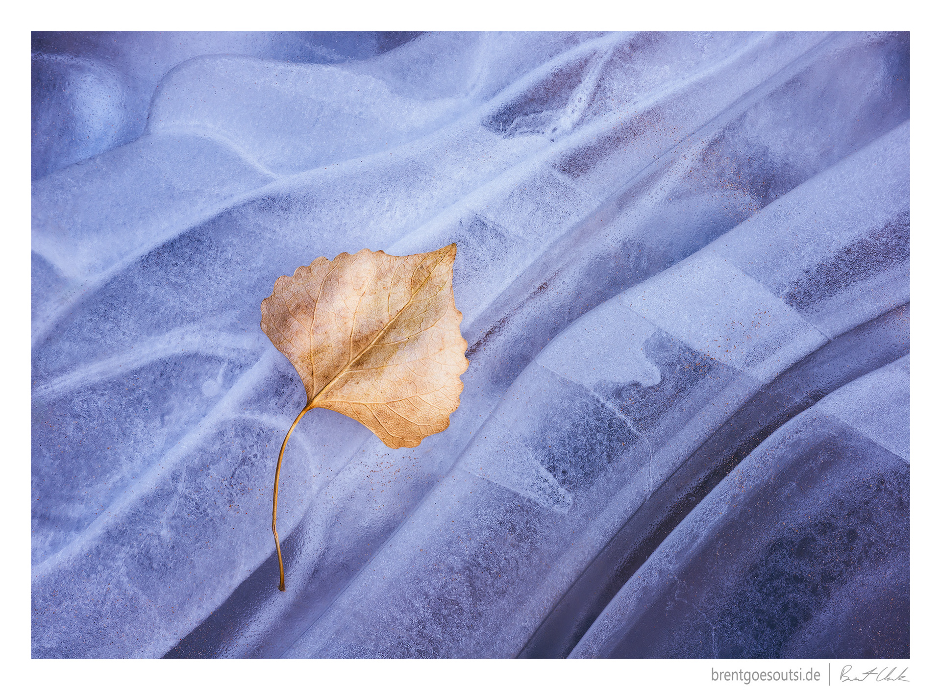 Restful