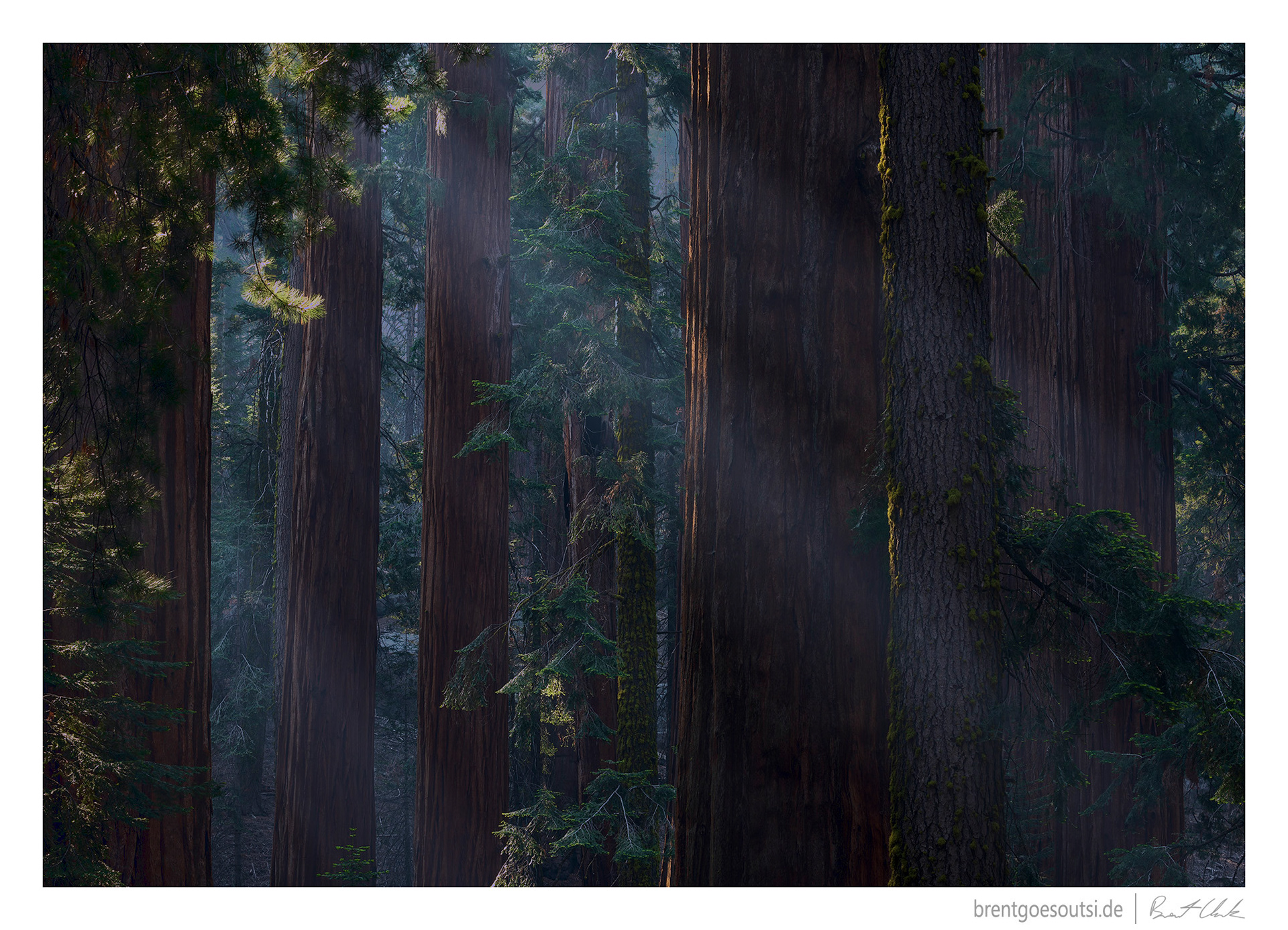 Sleeping Giants