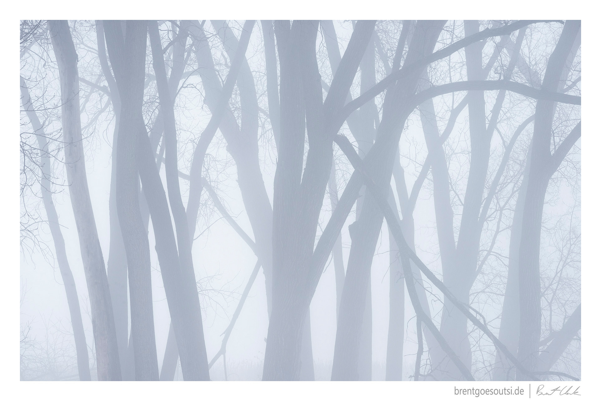 Bleak