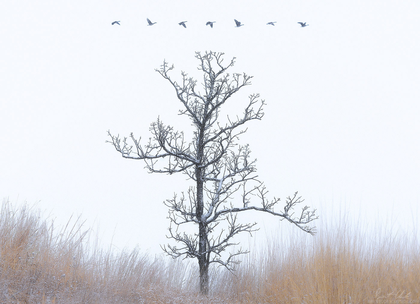 On Such a Winter's Day