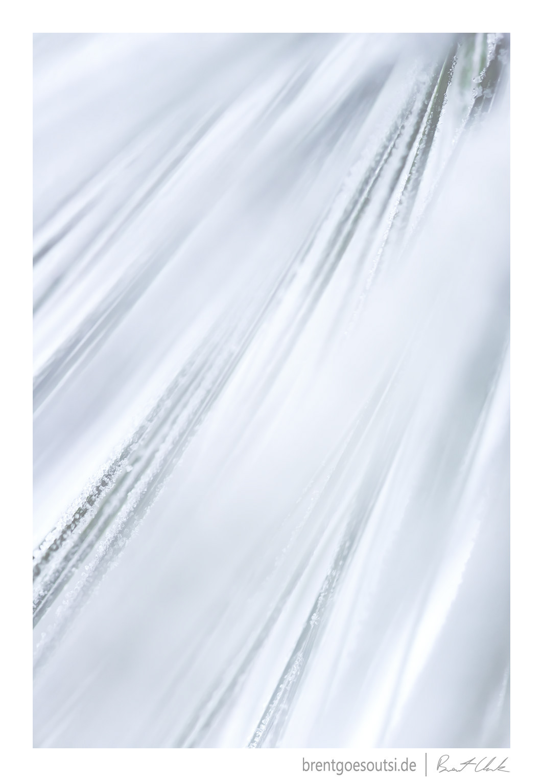 Peppermint