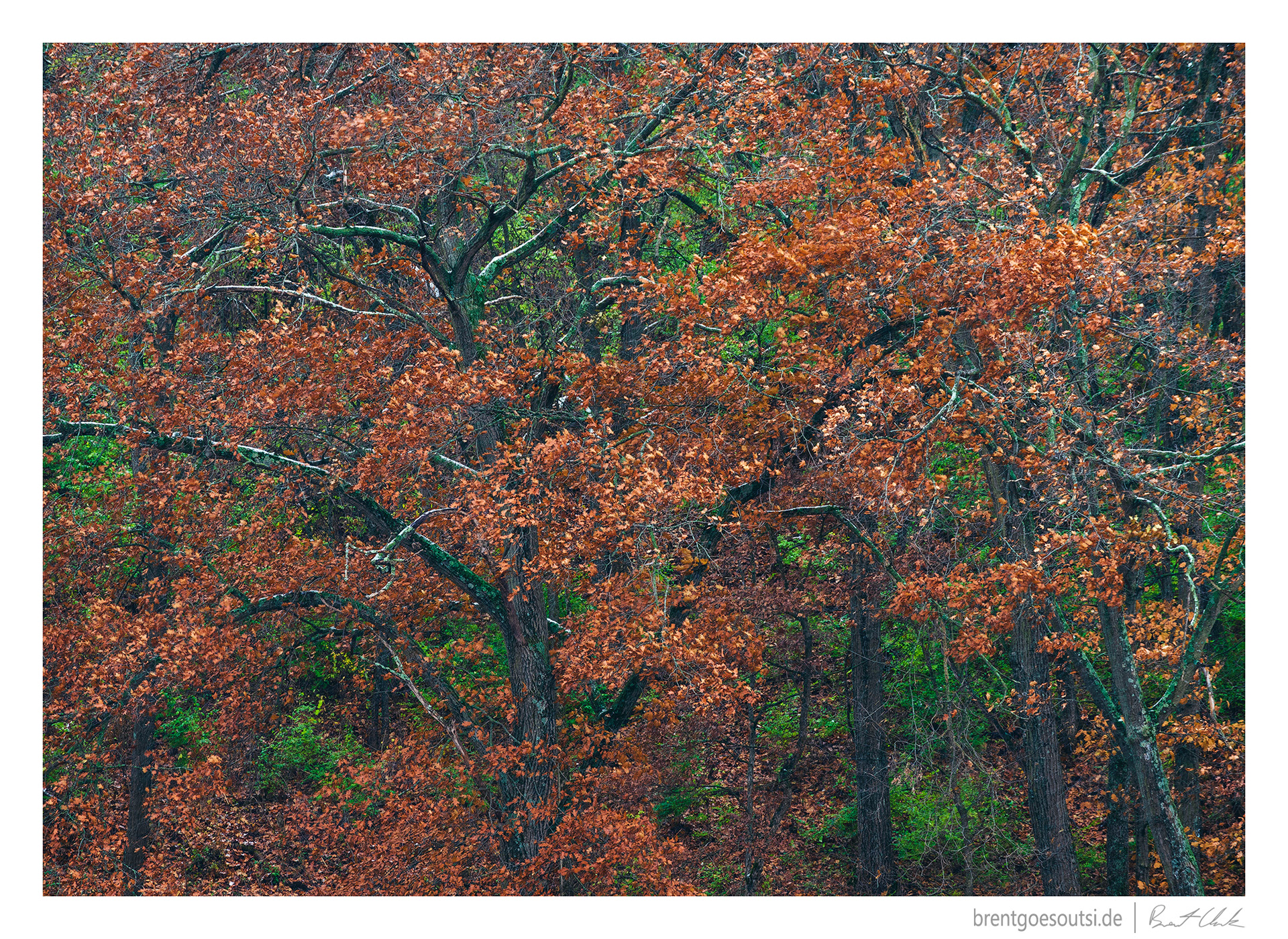 Uncommon Colors