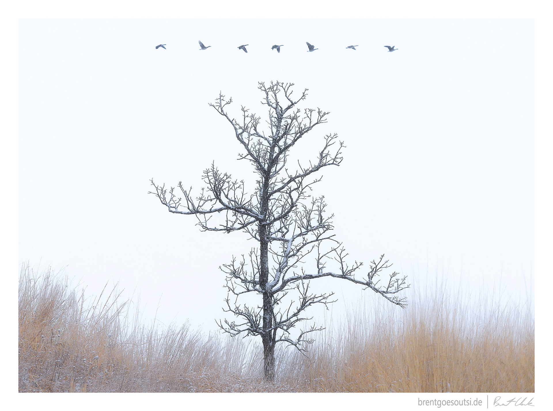 On Such A Winter's Day (Composite)