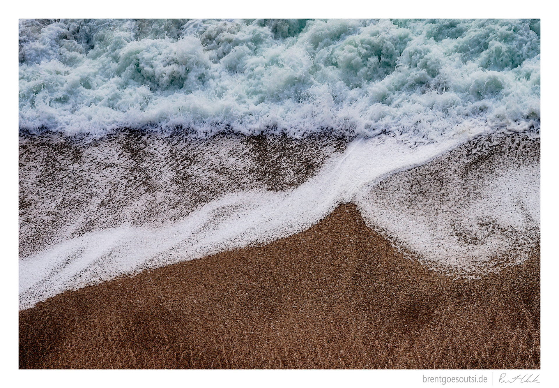 Sea What I Sea