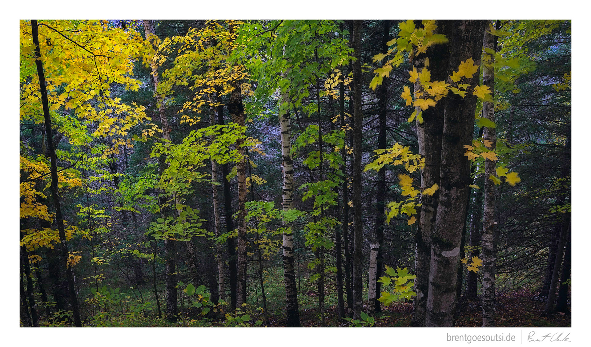 A Change of Seasons