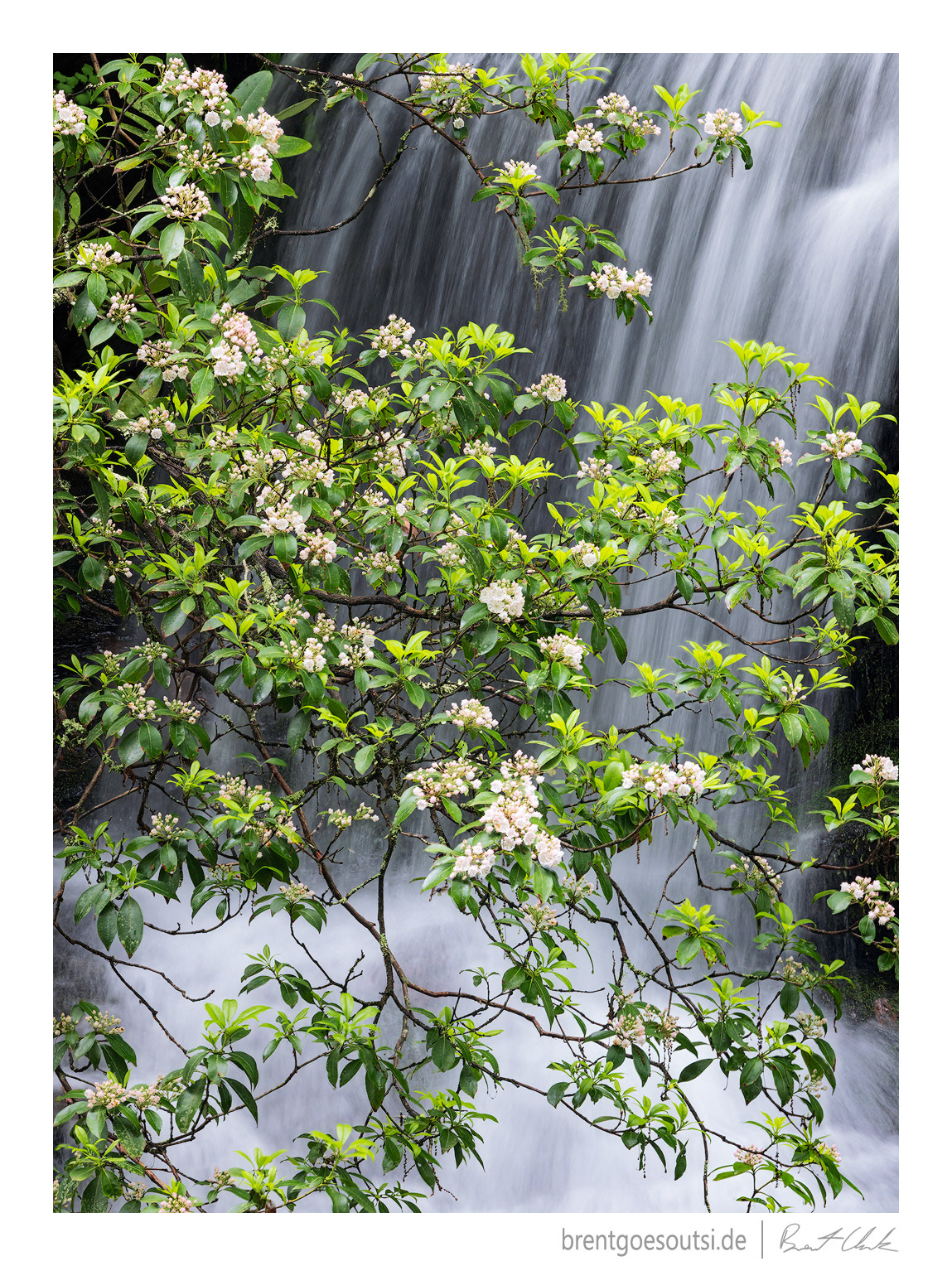 We Will Always Need Beauty