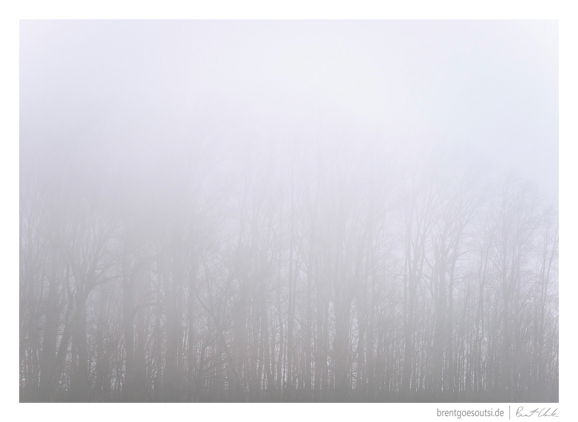 Bright and Dreary