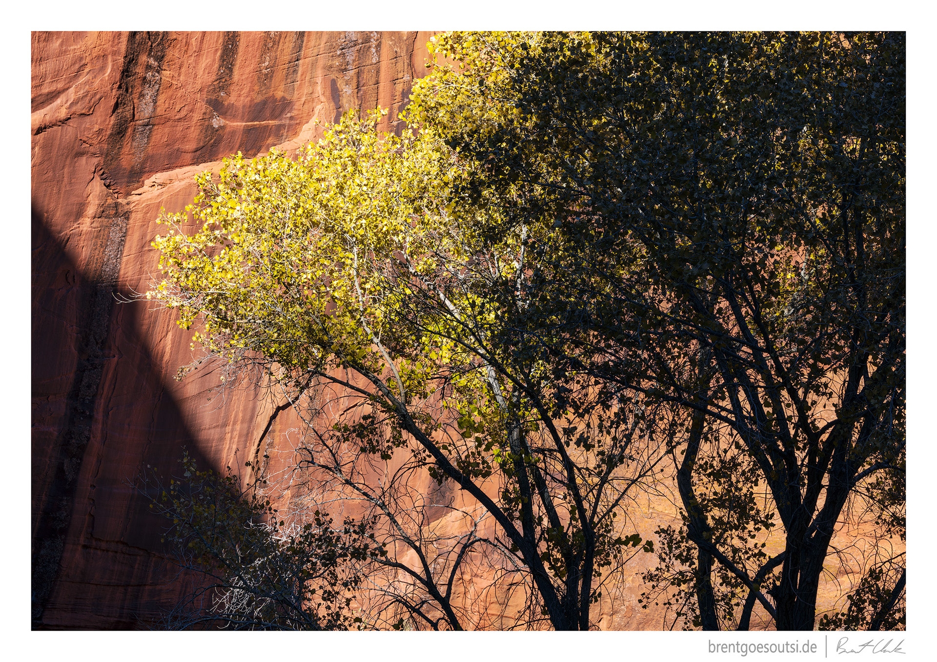 Embrace Both Light and Shadow