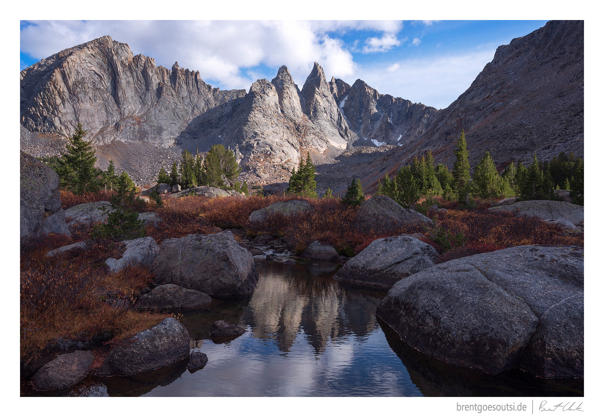 Wilderness Medicine