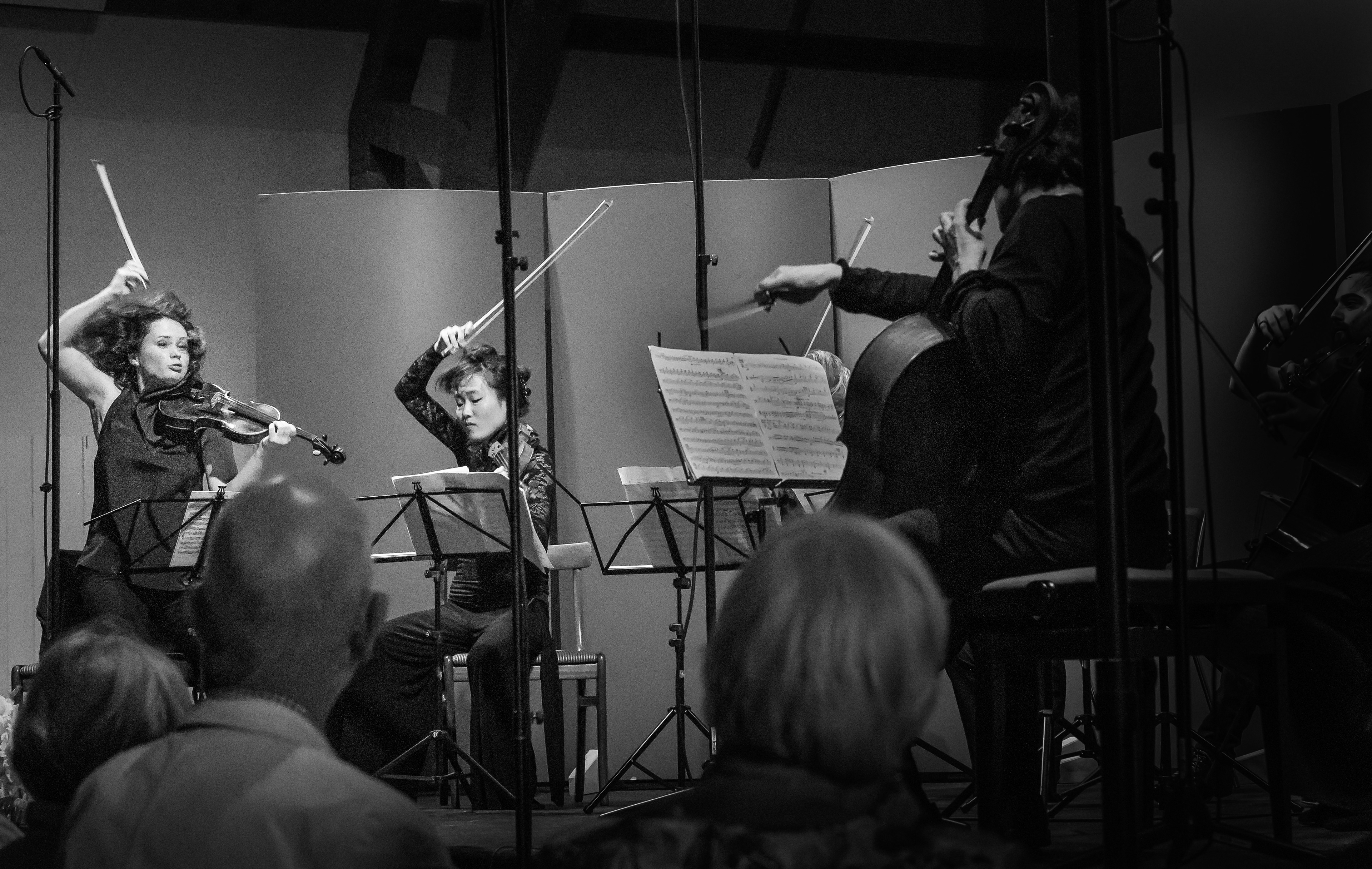 Hindsgavl Festival/Camerata Bern