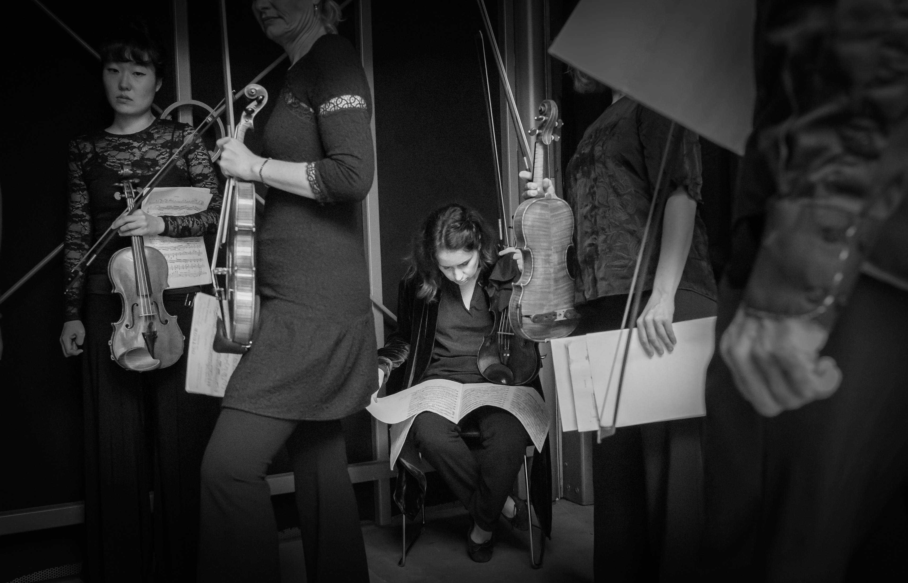 Hindsgavl Festival/Camerata Bern