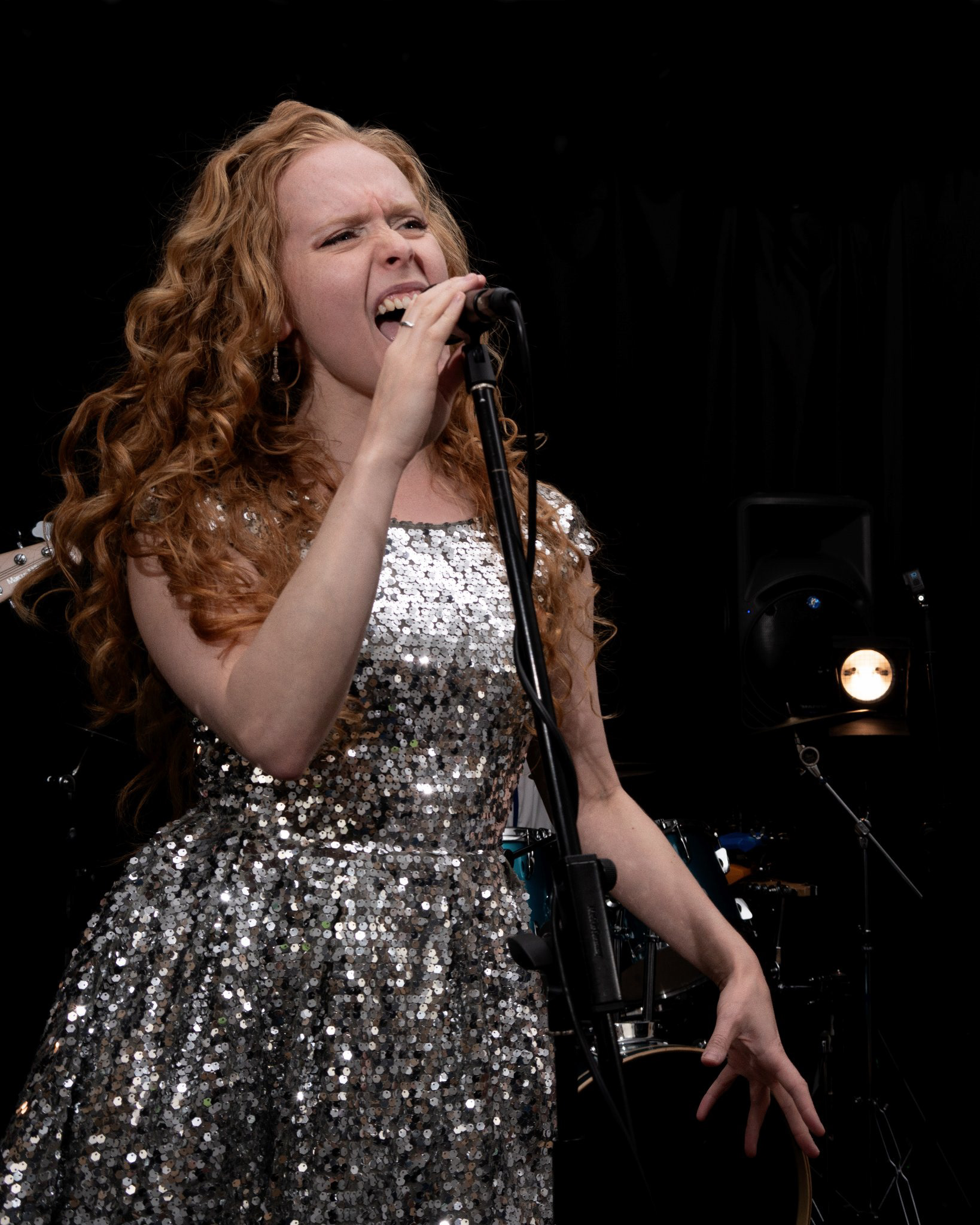 Sapphire Nights Party Band